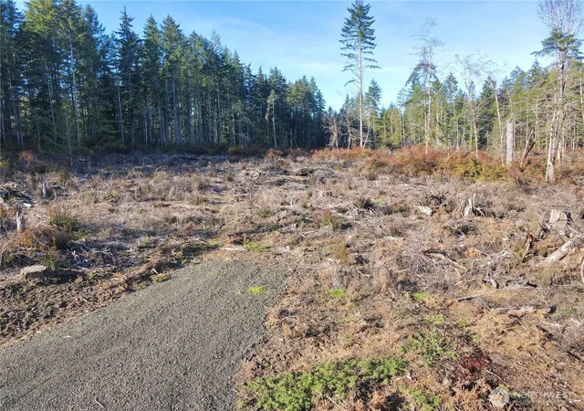 Photo 3 of Sale Pending at 260 E Solbakk Veien Rd, Shelton, WA 98584 | MLS# NWM2477931 | Listing updated on 2026-08-10