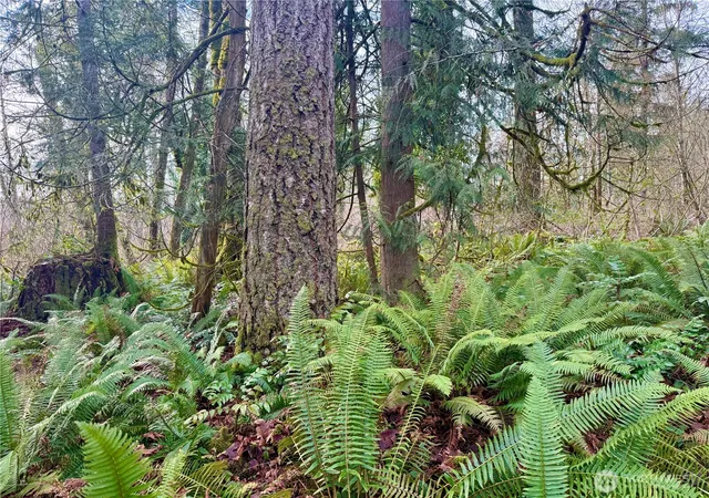 Photo 3 of Sale Pending at 20403 SE 248th Street, Maple Valley, WA 98038 | MLS# NWM2478478 | Listing updated on 2026-09-25