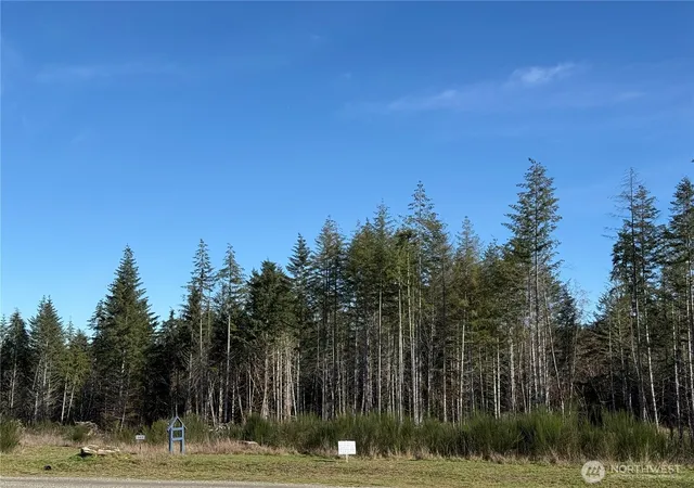 Photo 3 of Land for sale at 7 E Parcel Johnson Ridge Rd, Belfair, WA 98528 | MLS# NWM2480738 | Listing updated on 2026-09-28