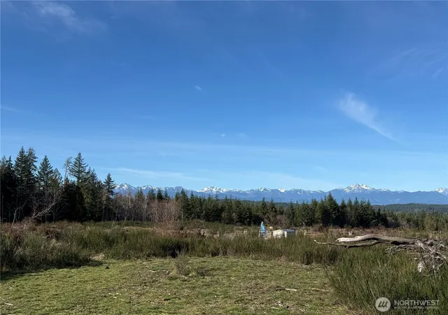 Photo 3 of Land for sale at 1 E Parcel Johnson Ridge Rd, Belfair, WA 98528 | MLS# NWM2480739 | Listing updated on 2026-09-28