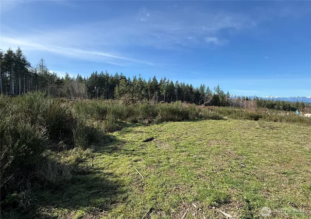 Photo 4 of Land for sale at 1 E Parcel Johnson Ridge Rd, Belfair, WA 98528 | MLS# NWM2480739 | Listing updated on 2026-09-28