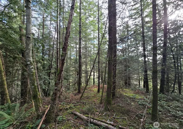 Photo 2 of Land for sale at 216 Xx Bond Rd Ne, Poulsbo, WA 98370 | MLS# NWM2481590 | Listing updated on 2026-10-01