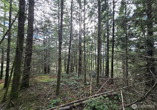 Photo 3 of Land for sale at 216 Xx Bond Rd Ne, Poulsbo, WA 98370 | MLS# NWM2481590 | Listing updated on 2026-10-01