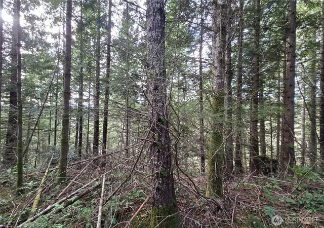 Photo 3 of Land for sale at 216 Xx Bond Rd NE, Poulsbo, WA 98370 | MLS# NWM2481590 | Listing updated on 2026-10-01