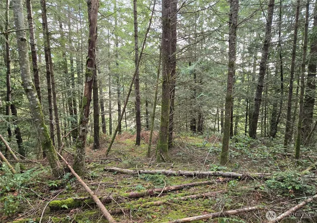 Photo 4 of Land for sale at 216 Xx Bond Rd NE, Poulsbo, WA 98370 | MLS# NWM2481590 | Listing updated on 2026-10-01