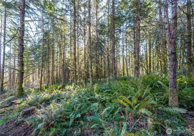 Photo 3 of Land for sale at 0 Bunker Hl Rd #1, Longview, WA 98632 | MLS# NWM2483920 | Listing updated on 2026-09-28