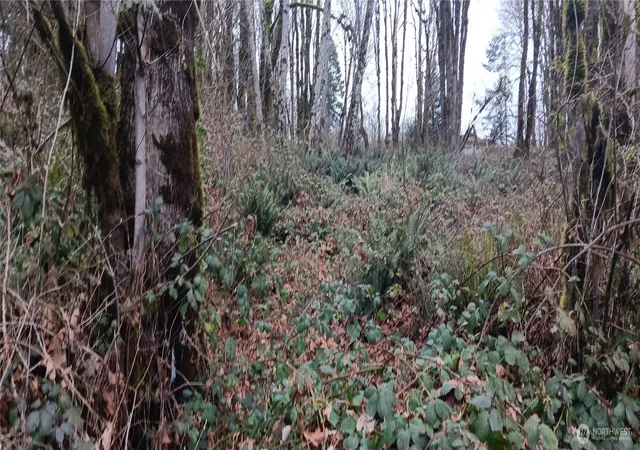 Photo 1 of Land for sale at 0 W County Line Rd, Mc Cleary, WA 98557 | MLS# NWM2485578 | Listing updated on 2026-09-29