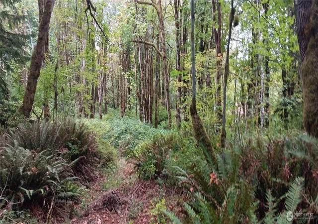 Photo 2 of Land for sale at 0 W County Line Rd, Mc Cleary, WA 98557 | MLS# NWM2485578 | Listing updated on 2026-09-29
