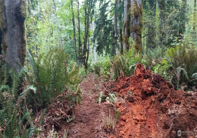 Photo 3 of Land for sale at 0 W County Line Rd, Mc Cleary, WA 98557 | MLS# NWM2485578 | Listing updated on 2026-09-29