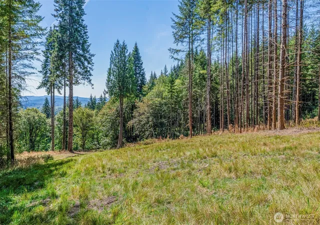 Photo 4 of Land for sale at 0 Bunker Hl Rd #2, Longview, WA 98632 | MLS# NWM2485735 | Listing updated on 2026-09-28