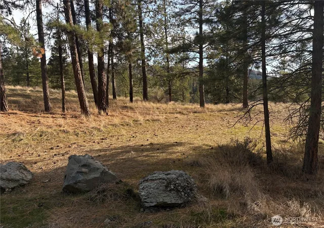 Photo 1 of Land for sale at 2 Mist Lake Rd, Tonasket, WA 98855 | MLS# NWM2486018 | Listing updated on 2026-09-25