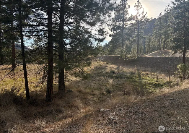 Photo 2 of Land for sale at 2 Mist Lake Rd, Tonasket, WA 98855 | MLS# NWM2486018 | Listing updated on 2026-09-25