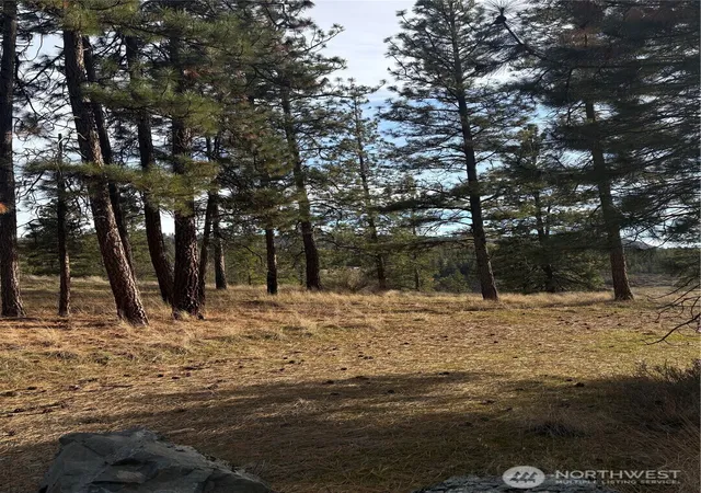 Photo 3 of Land for sale at 2 Mist Lake Rd, Tonasket, WA 98855 | MLS# NWM2486018 | Listing updated on 2026-09-25
