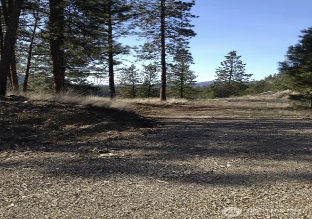 Photo 4 of Land for sale at 2 Mist Lake Rd, Tonasket, WA 98855 | MLS# NWM2486018 | Listing updated on 2026-09-25