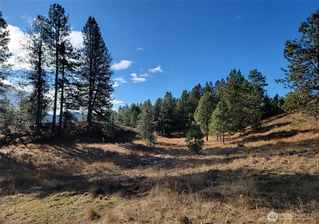 Photo 1 of Sale Pending at 999 Lot 22 Stabenfeldt Dr, Republic, WA 99166 | MLS# NWM2488359 | Listing updated on 2026-09-25