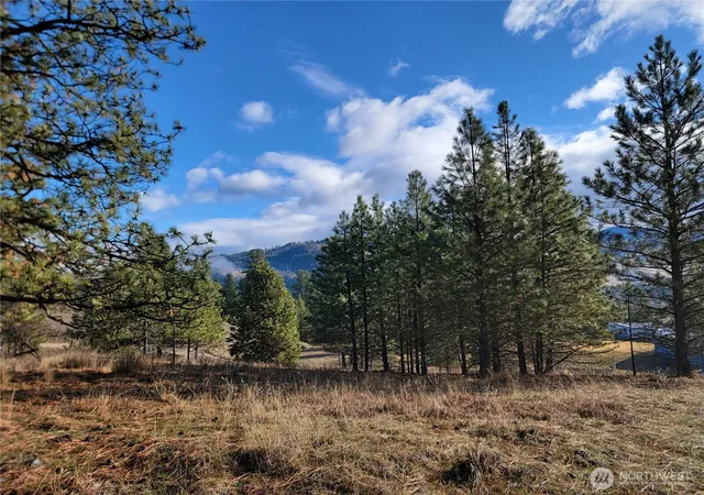 Photo 2 of Sale Pending at 999 Lot 22 Stabenfeldt Dr, Republic, WA 99166 | MLS# NWM2488359 | Listing updated on 2026-09-25