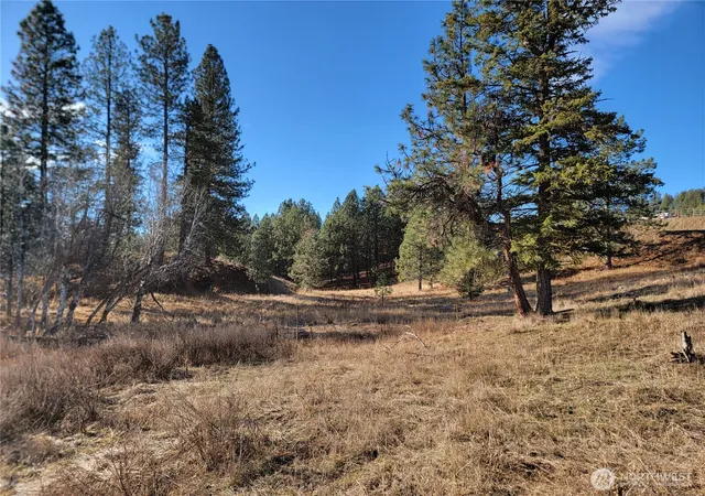 Photo 3 of Sale Pending at 999 Lot 22 Stabenfeldt Dr, Republic, WA 99166 | MLS# NWM2488359 | Listing updated on 2026-09-25