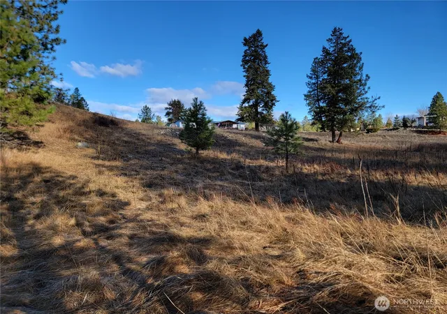 Photo 3 of Sale Pending at 999 Lot 22 Stabenfeldt Dr, Republic, WA 99166 | MLS# NWM2488359 | Listing updated on 2026-09-25
