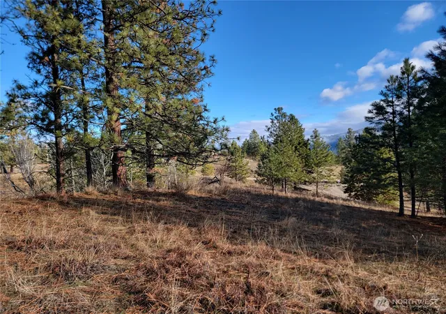 Photo 4 of Sale Pending at 999 Lot 22 Stabenfeldt Dr, Republic, WA 99166 | MLS# NWM2488359 | Listing updated on 2026-09-25