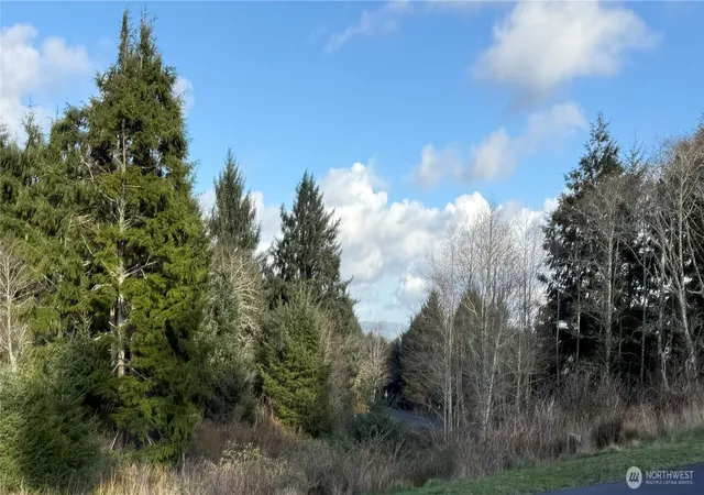 Photo 3 of Land for sale at 0 Lighthousekeepers Rd, Ilwaco, WA 98624 | MLS# NWM2488388 | Listing updated on 2026-07-01