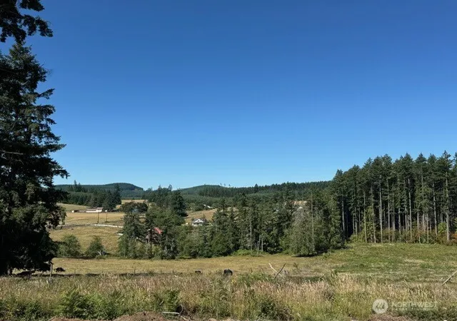 Photo 1 of Land for sale at 118 Woodberry Ln, Winlock, WA 98596 | MLS# NWM2490476 | Listing updated on 2026-09-22