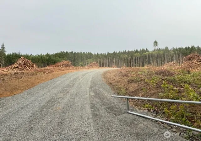 Photo 3 of Land for sale at 118 Woodberry Ln, Winlock, WA 98596 | MLS# NWM2490476 | Listing updated on 2026-09-22