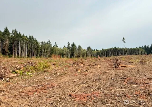 Photo 3 of Land for sale at 118 Woodberry Ln, Winlock, WA 98596 | MLS# NWM2490476 | Listing updated on 2026-09-22