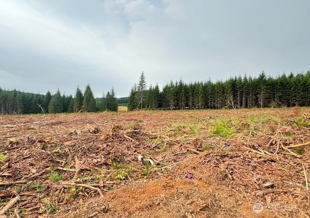Photo 4 of Land for sale at 118 Woodberry Ln, Winlock, WA 98596 | MLS# NWM2490476 | Listing updated on 2026-09-22