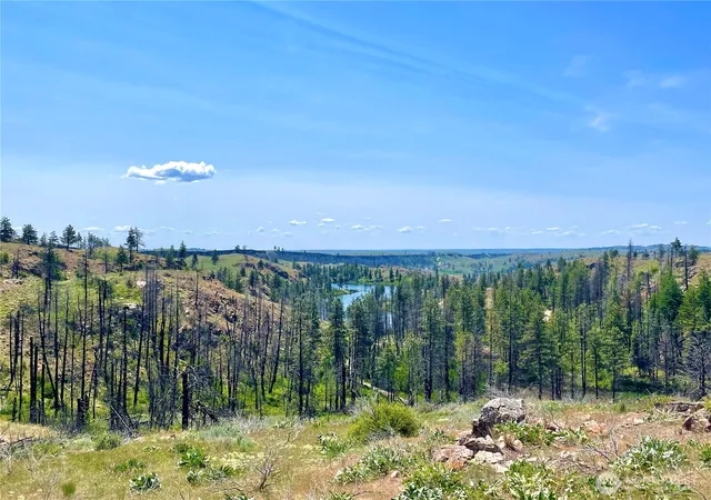 Photo 1 of Land for sale at 0 Tbd Madd Mtn Rd, Okanogan, WA 98840 | MLS# NWM2491125 | Listing updated on 2026-10-26