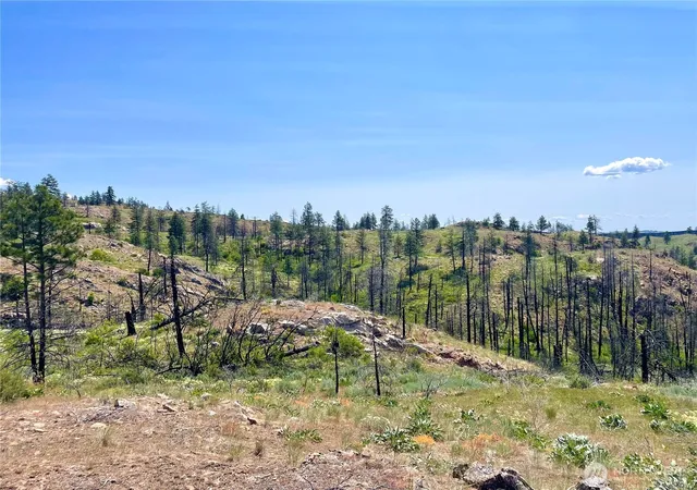 Photo 3 of Land for sale at 0 Tbd Madd Mtn Rd, Okanogan, WA 98840 | MLS# NWM2491125 | Listing updated on 2026-10-26