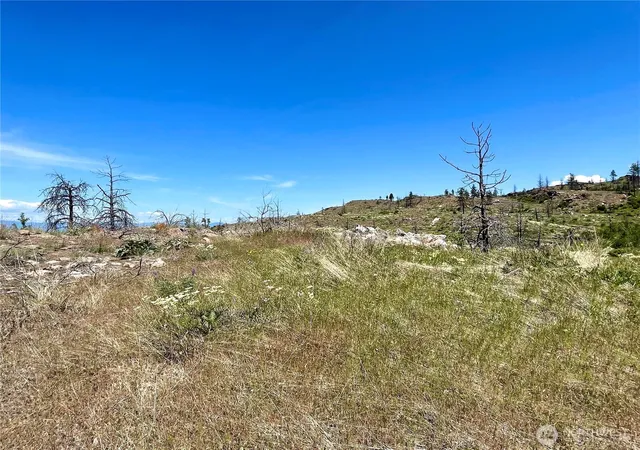 Photo 3 of Land for sale at 0 Tbd Madd Mtn Rd, Okanogan, WA 98840 | MLS# NWM2491125 | Listing updated on 2026-10-26