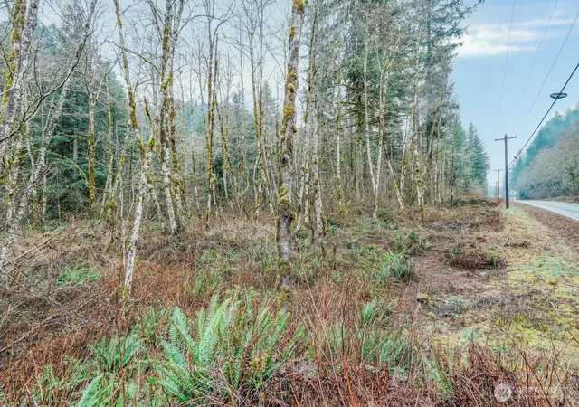 Photo 3 of Sale Pending at 0 Washougal River Rd, Washougal, WA 98671 | MLS# NWM2491447 | Listing updated on 2026-09-25