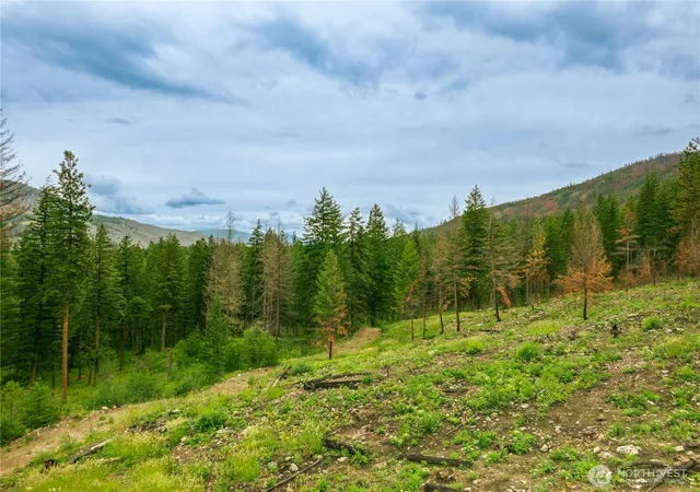 Photo 2 of Sale Pending at 0 Wolf Crk Rd, Mazama, WA 98833 | MLS# NWM2492198 | Listing updated on 2026-10-02