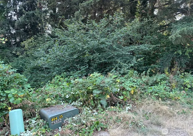Photo 1 of Land for sale at 0 Ne Lot 28 Wanda Ct, Belfair, WA 98528 | MLS# NWM2492914 | Listing updated on 2026-09-23