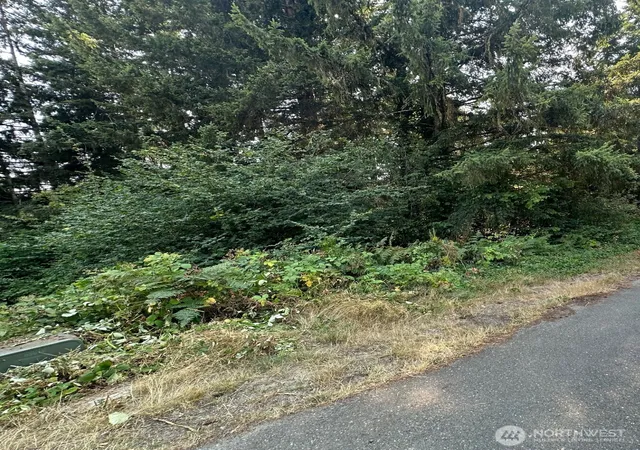Photo 2 of Land for sale at 0 Ne Lot 28 Wanda Ct, Belfair, WA 98528 | MLS# NWM2492914 | Listing updated on 2026-09-23