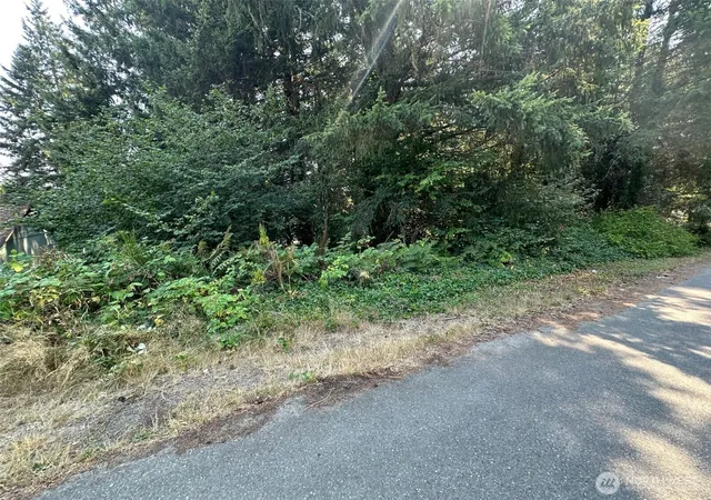 Photo 3 of Land for sale at 0 Ne Lot 28 Wanda Ct, Belfair, WA 98528 | MLS# NWM2492914 | Listing updated on 2026-09-23