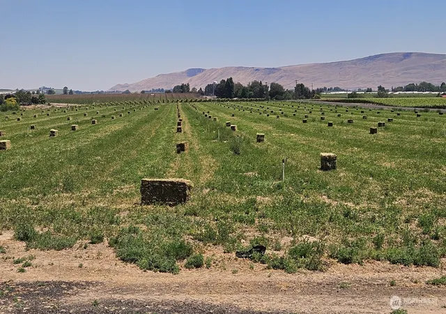 Photo 2 of Sale Pending at 125498 W Mccreadie, Prosser, WA 99350 | MLS# NWM2493376 | Listing updated on 2026-09-25