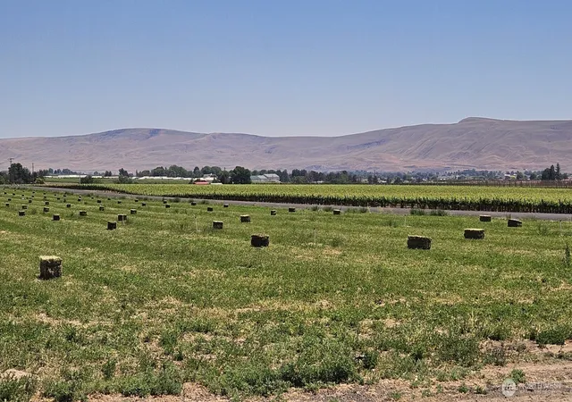 Photo 3 of Sale Pending at 125498 W Mccreadie, Prosser, WA 99350 | MLS# NWM2493376 | Listing updated on 2026-09-25