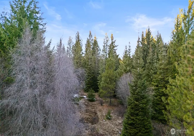 Photo 4 of Land for sale at 3301 Jenkins Dr, Cle Elum, WA 98922 | MLS# NWM2493854 | Listing updated on 2026-09-20
