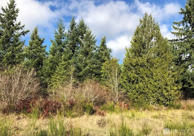 Photo 1 of Land for sale at 14623 Lindsay Loop Se, Yelm, WA 98597 | MLS# NWM2496002 | Listing updated on 2026-09-30
