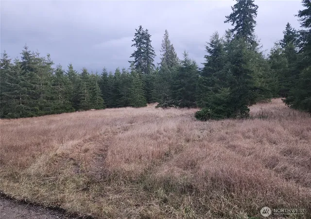 Photo 3 of Sale Pending at 0 Lilly Rd, Port Angeles, WA 98362 | MLS# NWM2496352 | Listing updated on 2026-09-23