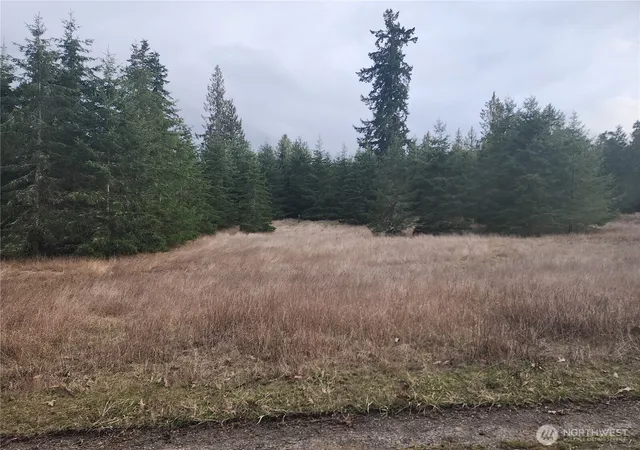 Photo 3 of Sale Pending at 0 Lilly Rd, Port Angeles, WA 98362 | MLS# NWM2496352 | Listing updated on 2026-09-23