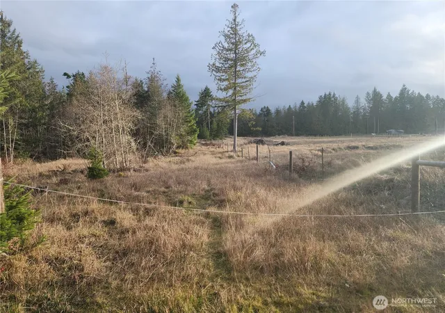Photo 4 of Sale Pending at 0 Lilly Rd, Port Angeles, WA 98362 | MLS# NWM2496352 | Listing updated on 2026-09-23