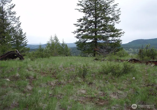 Photo 1 of Land for sale at 0 Edgewood Ln, Curlew, WA 99118 | MLS# NWM2496531 | Listing updated on 2026-07-21