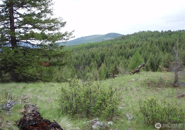 Photo 3 of Land for sale at 0 Edgewood Ln, Curlew, WA 99118 | MLS# NWM2496531 | Listing updated on 2026-07-21