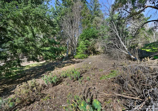 Photo 4 of Land for sale at 405 Arbutus Pl, Bellingham, WA 98225 | MLS# NWM2499782 | Listing updated on 2026-10-20