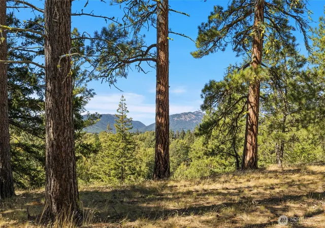 Land for sale at 36 Wanawish Loop, Cle Elum, WA 98922 | MLS# NWM2500133