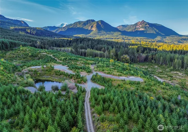 Photo 4 of Sale Pending at 294 Hardy Ln, Packwood, WA 98361 | MLS# NWM2500242 | Listing updated on 2026-08-20