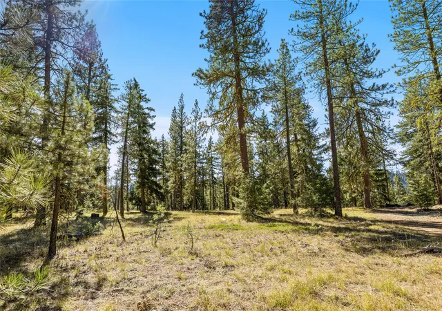 Land for sale at 28 Wanawish Loop, Cle Elum, WA 98922 | MLS# NWM2500376
