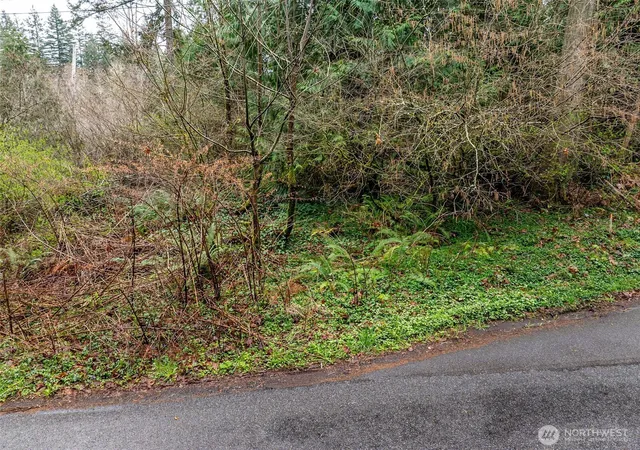 Photo 3 of Land for sale at 32617 Benbow Dr E, Graham, WA 98338 | MLS# NWM2502230 | Listing updated on 2026-09-21